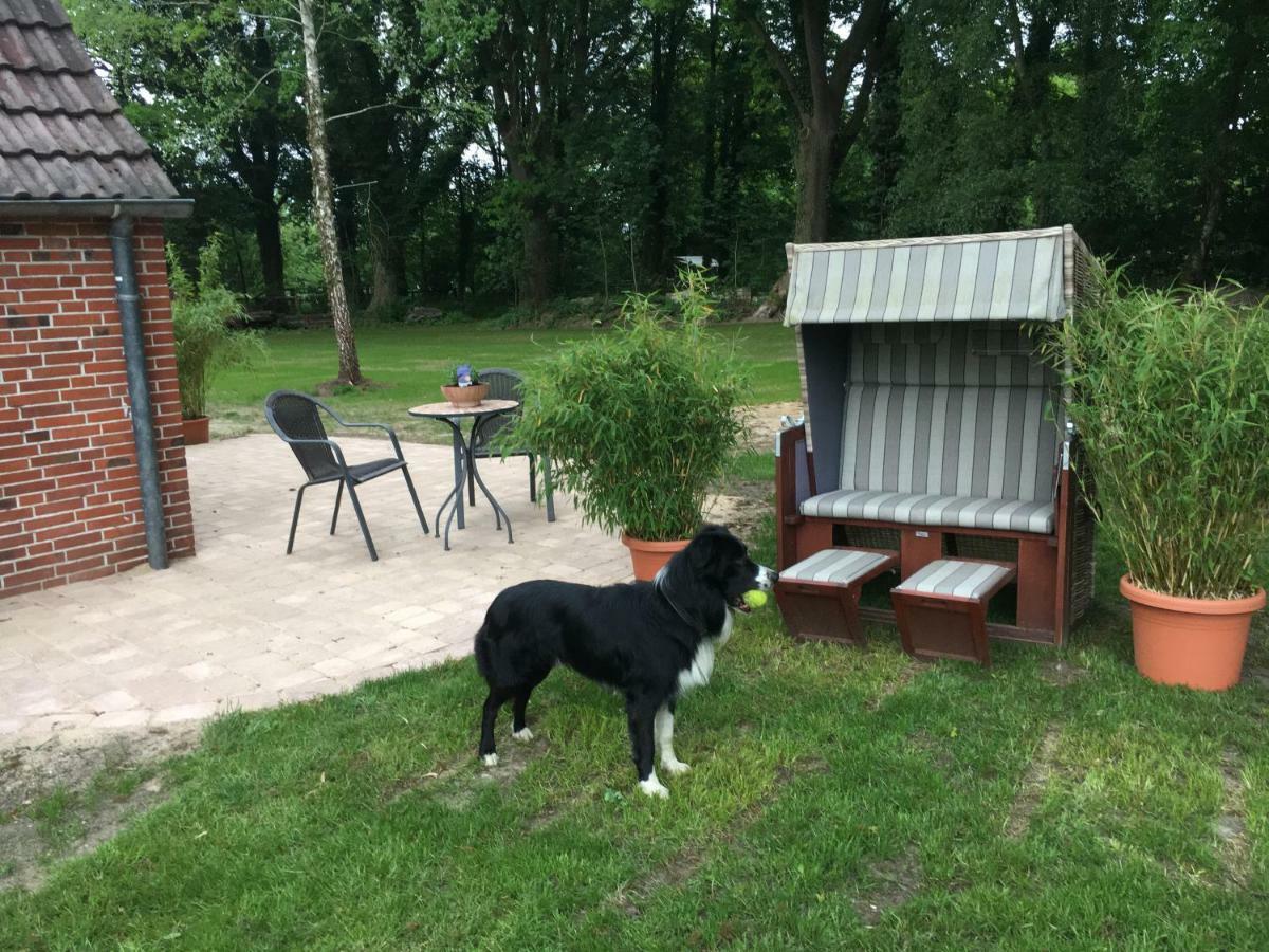 Willa Huck'S Ferienhaeuser Borstel  Zewnętrze zdjęcie